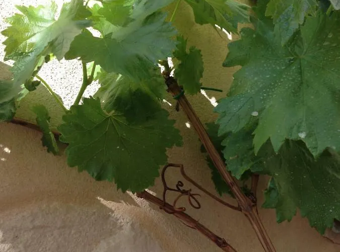 Casa 28 Bed & Breakfast 4*